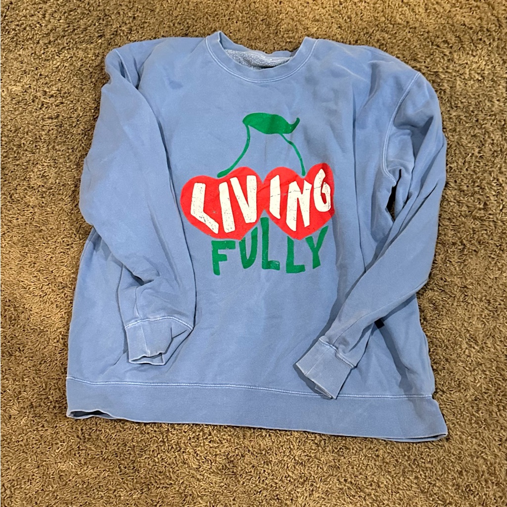 Blue Graphic Sweatshirt With Cherry Design
